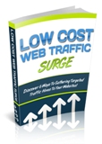Thumbnail Low Cost Web Traffic Surge