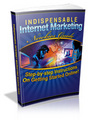 Thumbnail Indispensable Internet Marketing Newbies Guide - Ebook