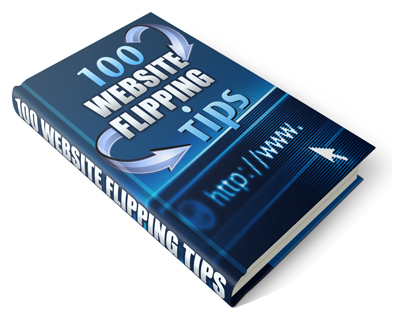 Product picture 100 Website Flipping Tips