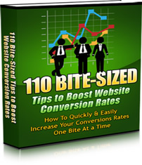 Product picture 110 Bit Sized : Tips To Boost Website Conversion Rates