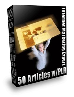 Product picture Internet Marketing Expert PLR Articles