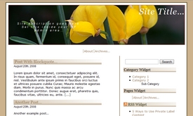 Product picture 5 Search Engine Optimized WordPress Themes