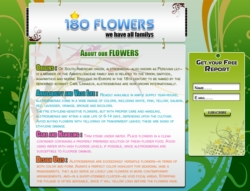 Product picture 6 anding Page Templates