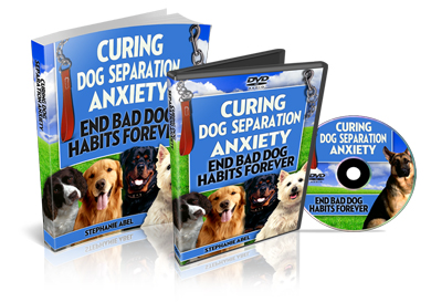 Product picture Curing Dog Separation Anxiety - Ebook + Audio