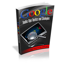 Product picture Google Traffic Strategies