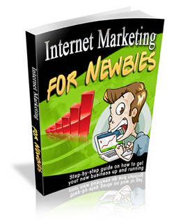 Product picture Internet Marketing for Newbies - Ebook
