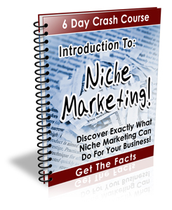 Product picture Introduction To Niche Marketing - 6 Day Crash Course