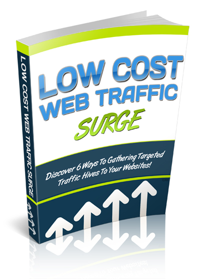 Product picture Low Cost Web Traffic Surge