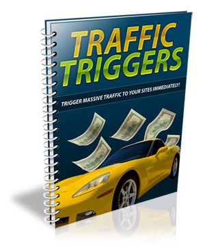 Product picture Traffic Triggers  Report 
