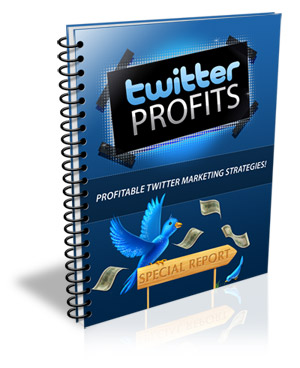 Product picture Twitter Profits  Report 